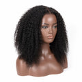 Kinky Curly HD Lace Front Wig