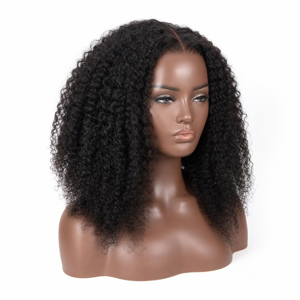 Kinky Curly HD Lace Front Wig